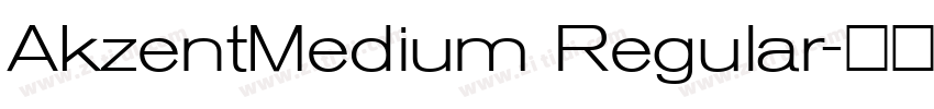 AkzentMedium Regular字体转换
